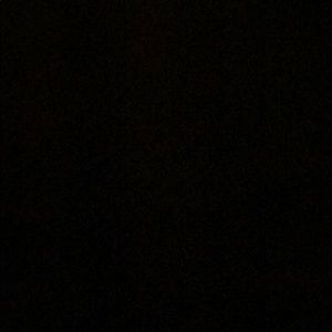 Meet your Posher, Zandra